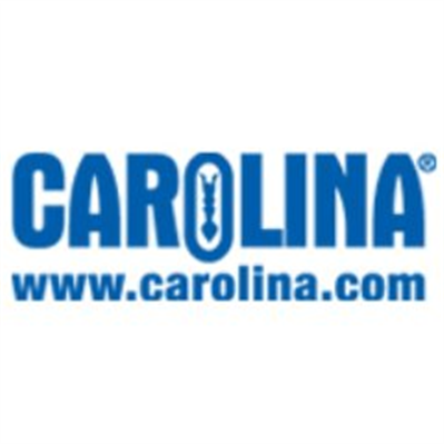 Carolina Affiliate Program