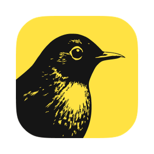 Birch (Formerly Revealbot) Affiliate Program