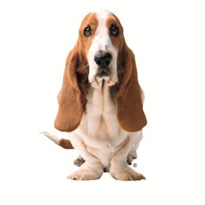 Hush Puppies Affiliate Program