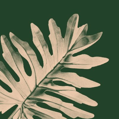 Bloomscape Affiliate Program