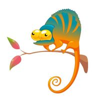 Activacek.cz Affiliate Program