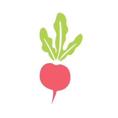 Raddish Kids – Monthly Delivery Affiliate Program