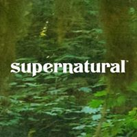 Supernatural Affiliate Program