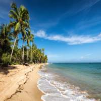lol.travel IT Affiliate Program