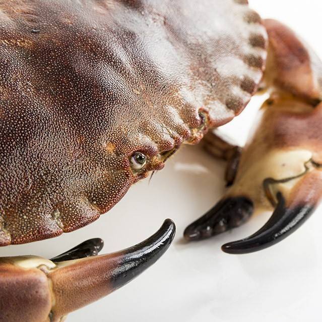 MARISCOS LAXE DE RONS ES Affiliate Program