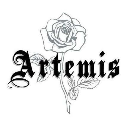 Artemis Accessories UK Affiliate Program