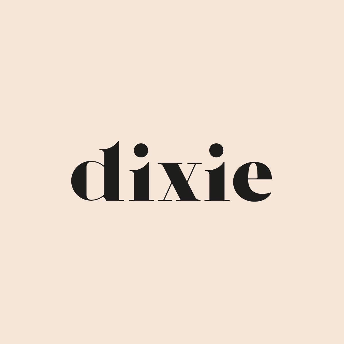 Dixie IT Affiliate Program