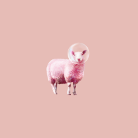 Pink Sheep Affiliate Program