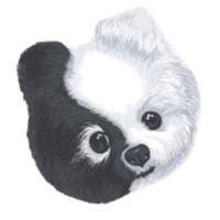 Chi Dog US Affiliate Program